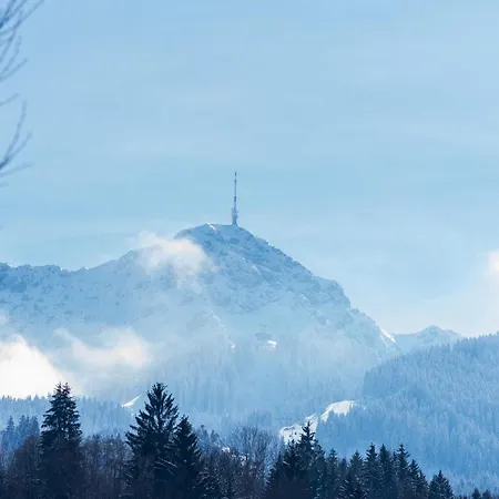 شاليه Kitzlodge S *